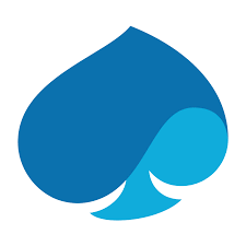 Capgemini Group